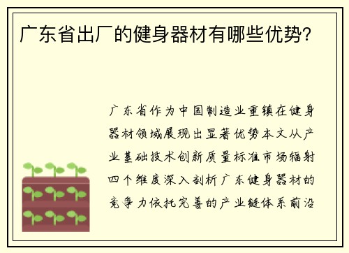 广东省出厂的健身器材有哪些优势？