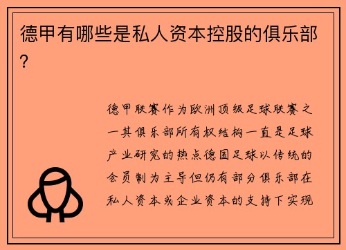 德甲有哪些是私人资本控股的俱乐部？